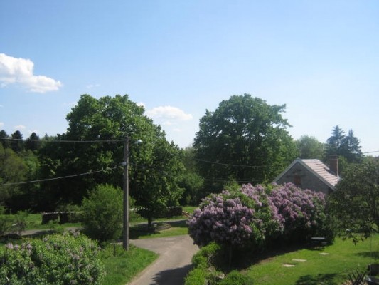 Photo n° 12 of the location
