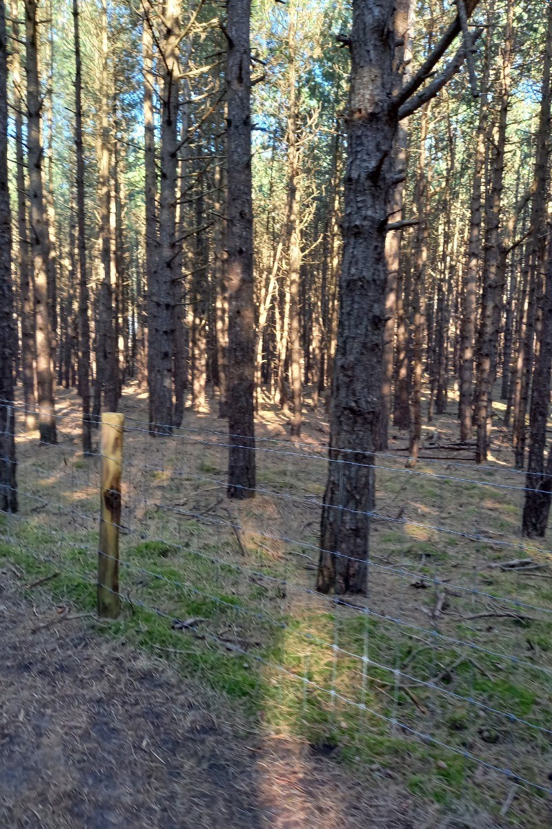 Photo n° 18 of the location