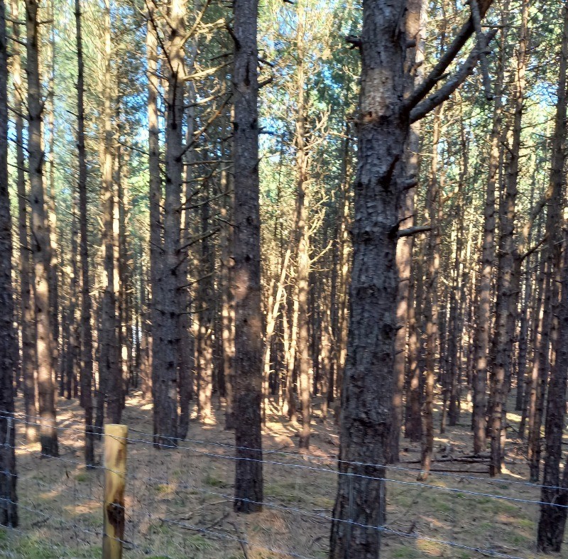 Photo n° 18 of the location