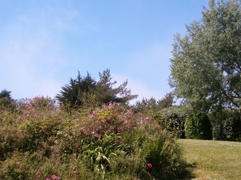 une vue du parc de la résidence avec son barbecue
