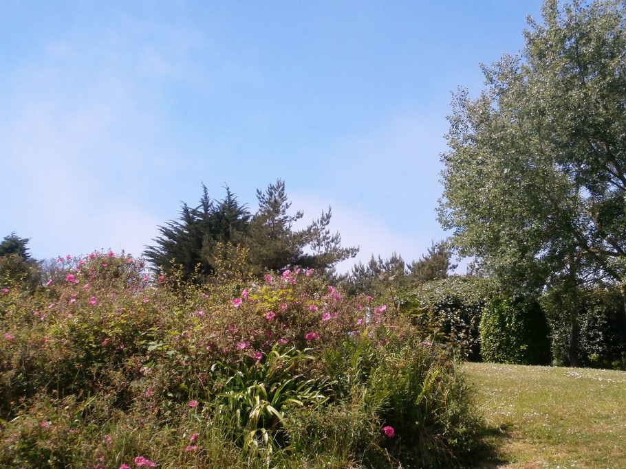 une vue du parc de la résidence avec son barbecue