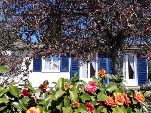 Image n° 1 de la location