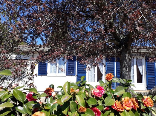 Image n° 1 de la location