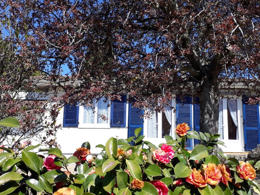 Photo n° 1 of the location