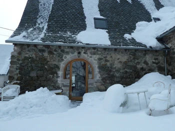 jardin sous la neige.
