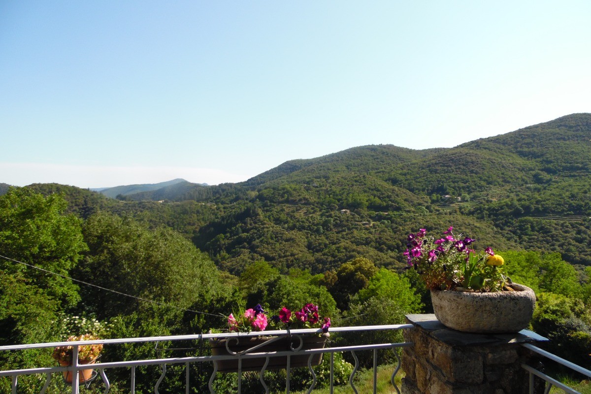vue de la terrasse