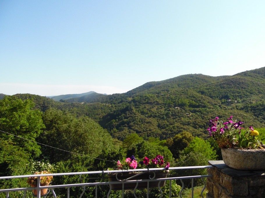 vue de la terrasse