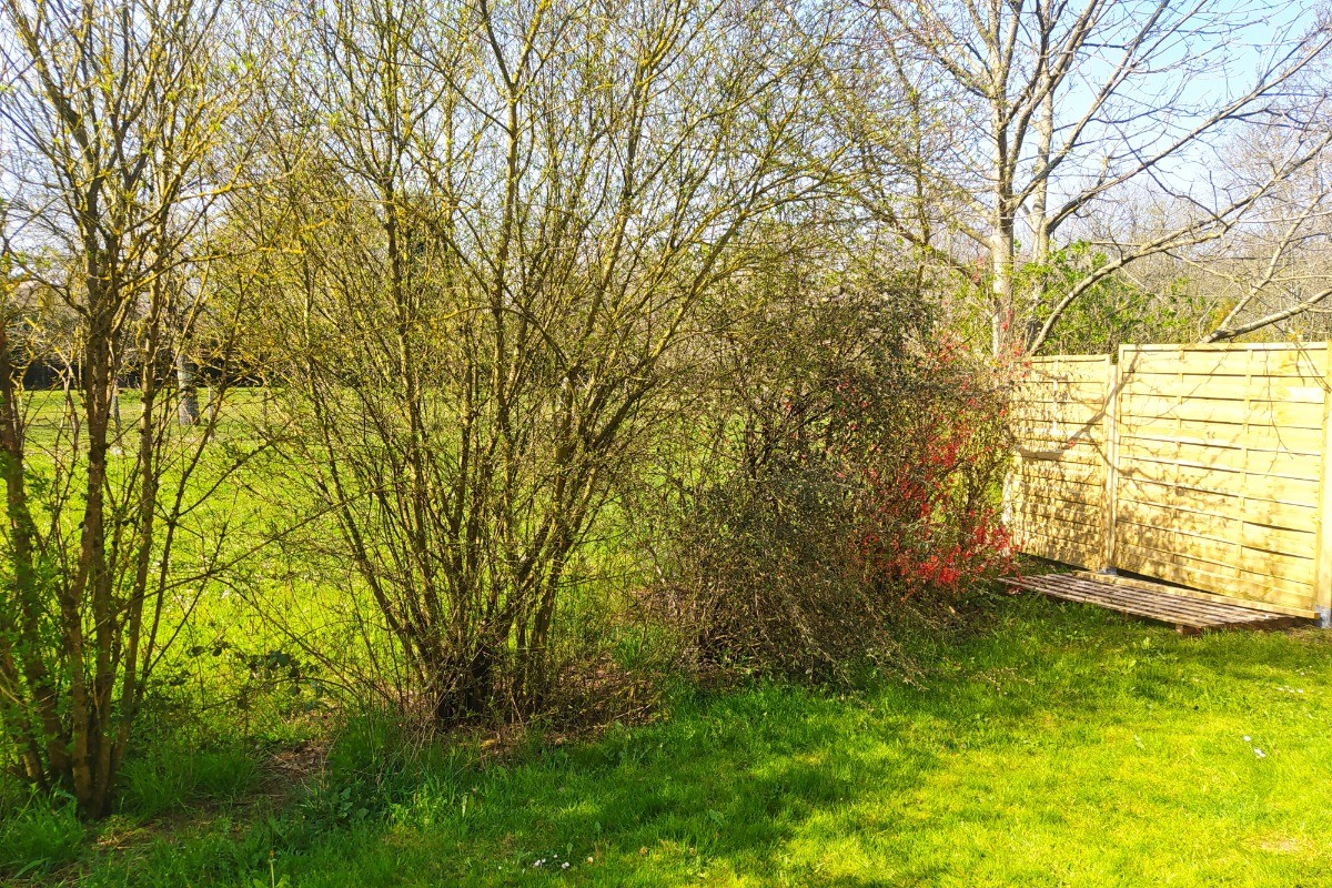 Abord du gîte.