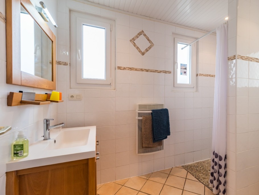 1er niveau : salle d'eau avec wc