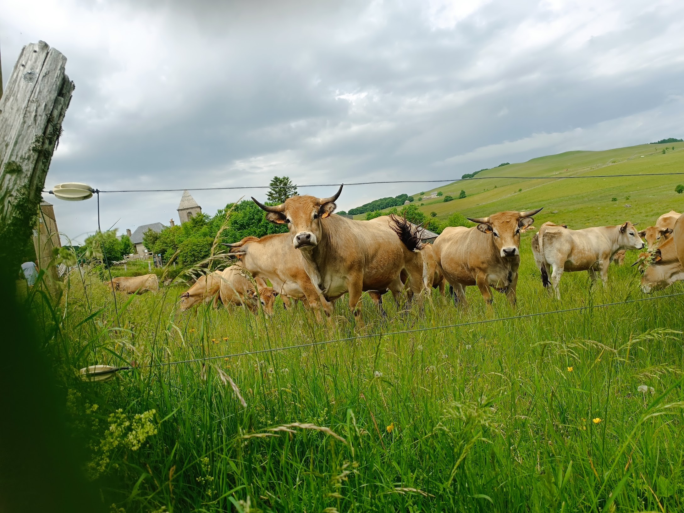 Your holiday in Aveyron: swimming, nature and relaxation