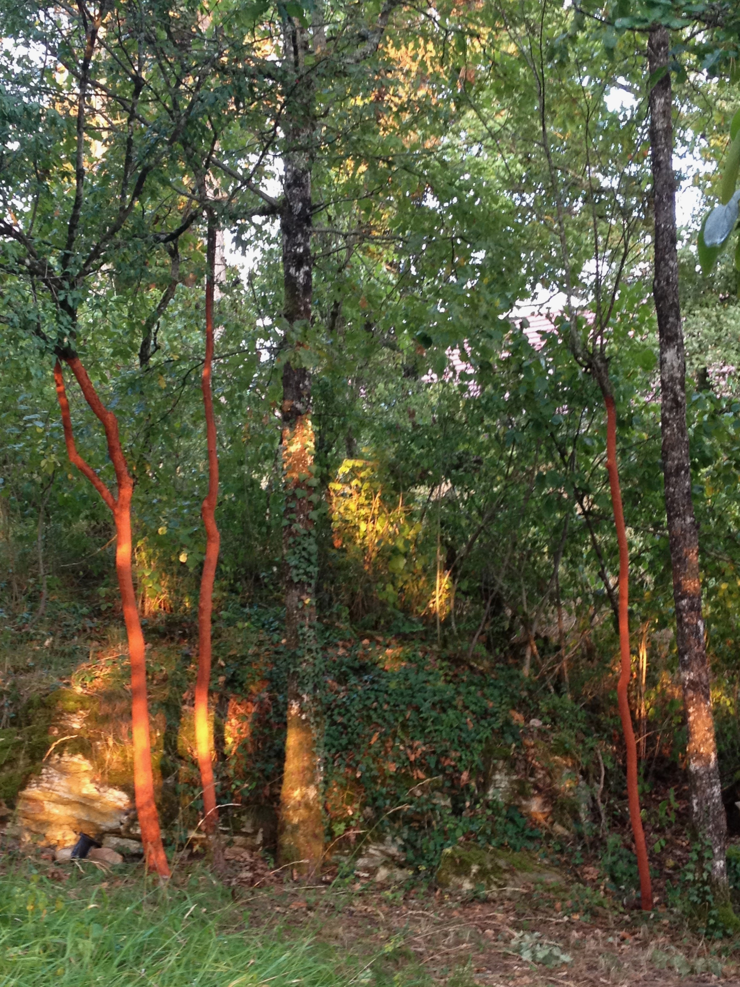 Photo n° 4 of the location