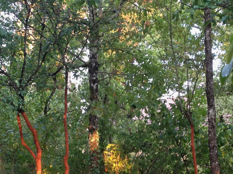 Photo n° 4 of the location