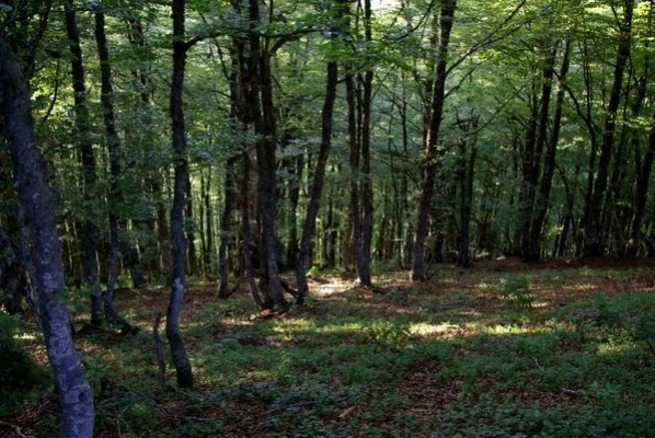 Photo n° 16 de la location