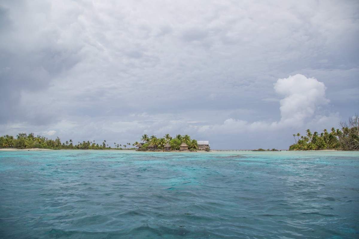 Photo n° 9 de la location