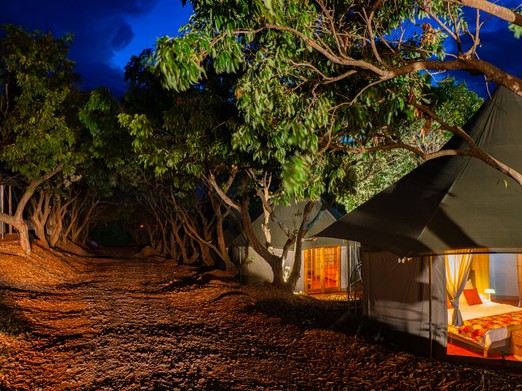 Glamping sous les letchis