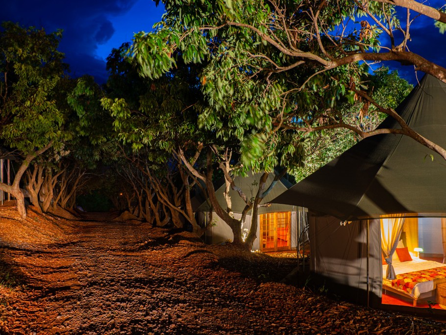 Glamping sous les letchis