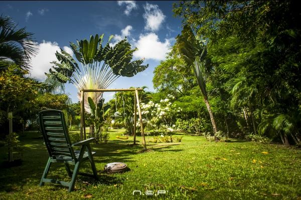 Le jardin