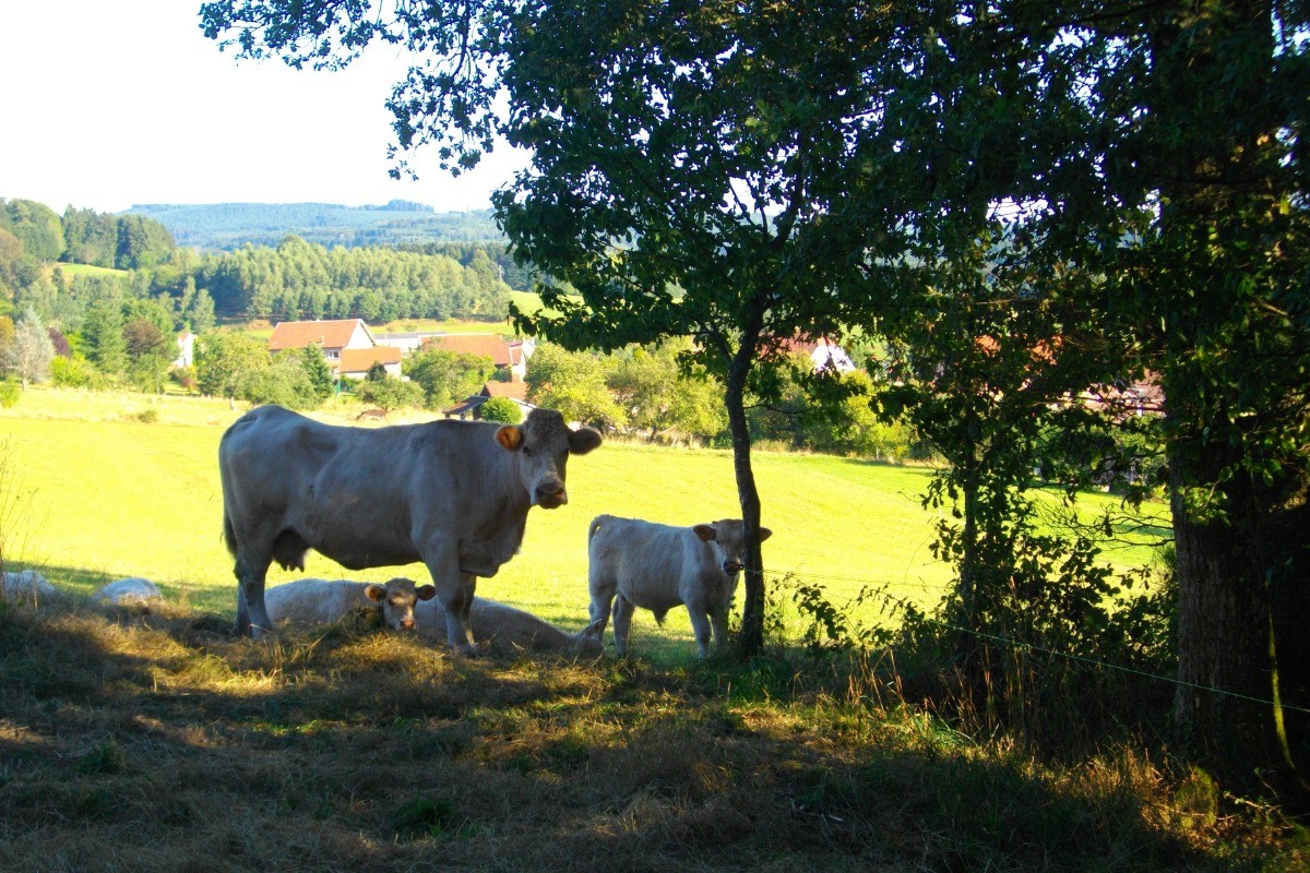 Le village - Gite du pré Bouquin