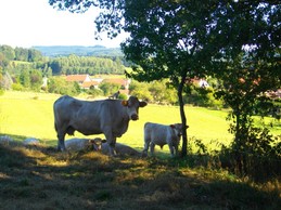 The village - Gite du pré Bouquin