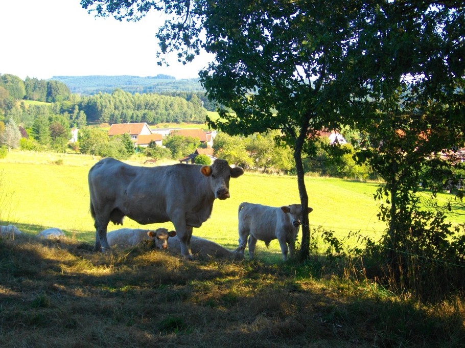 Le village - Gite du pré Bouquin