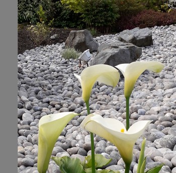 Photo n° 14 of the location