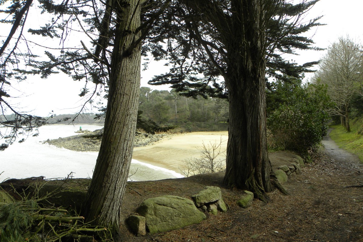Photo n° 20 de la location
