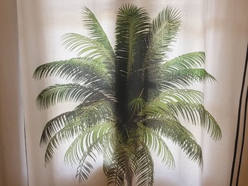 Photo n° 7 de la location