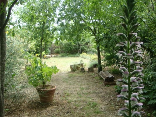 Photo n° 10 de la location