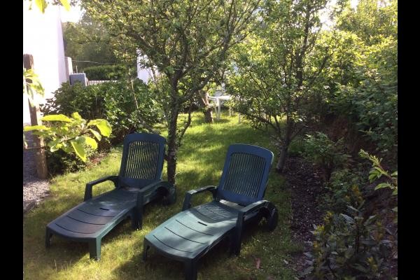 Bains de soleil au calme du jardin