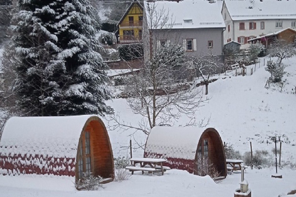 Sous la neige