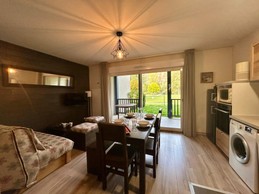 Salon / séjour / cuisine