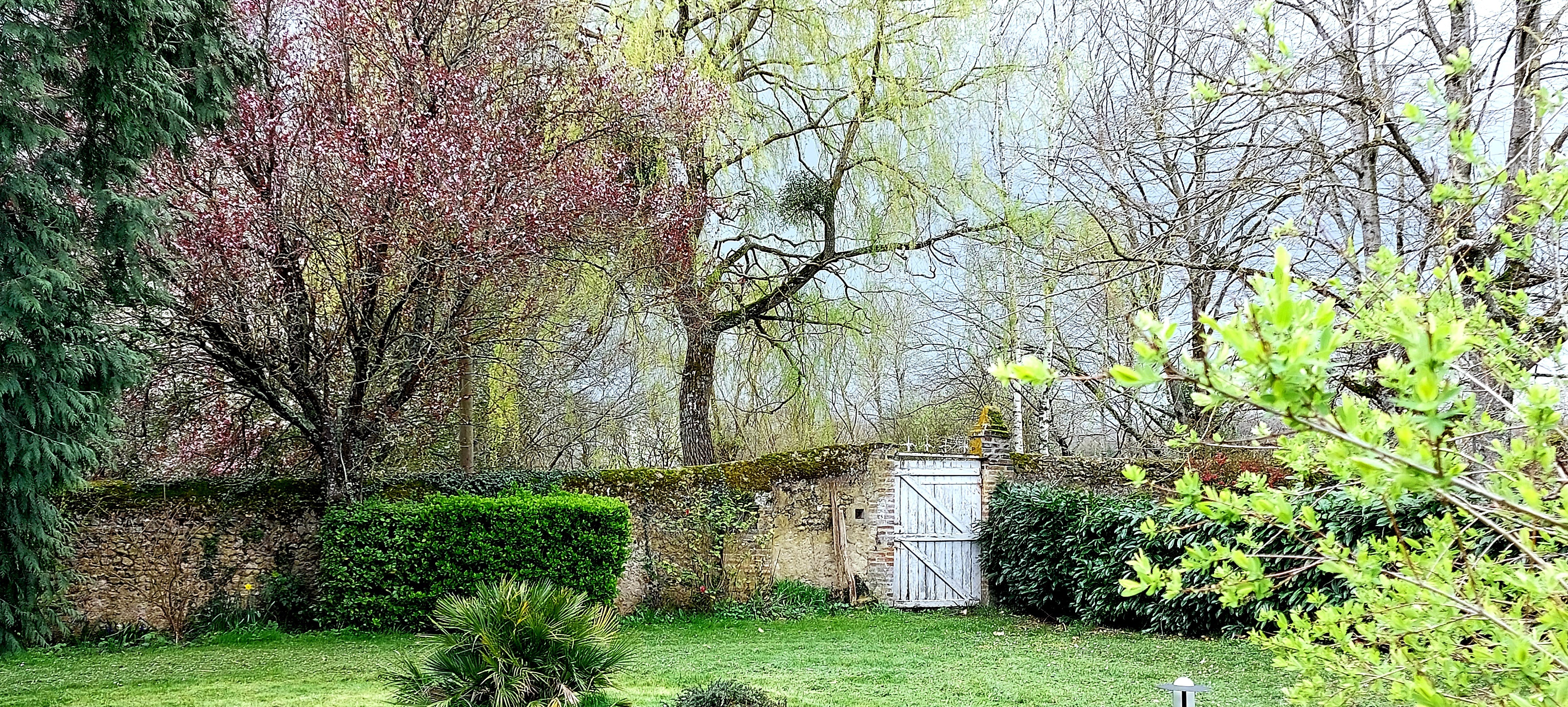 Parc au printemps