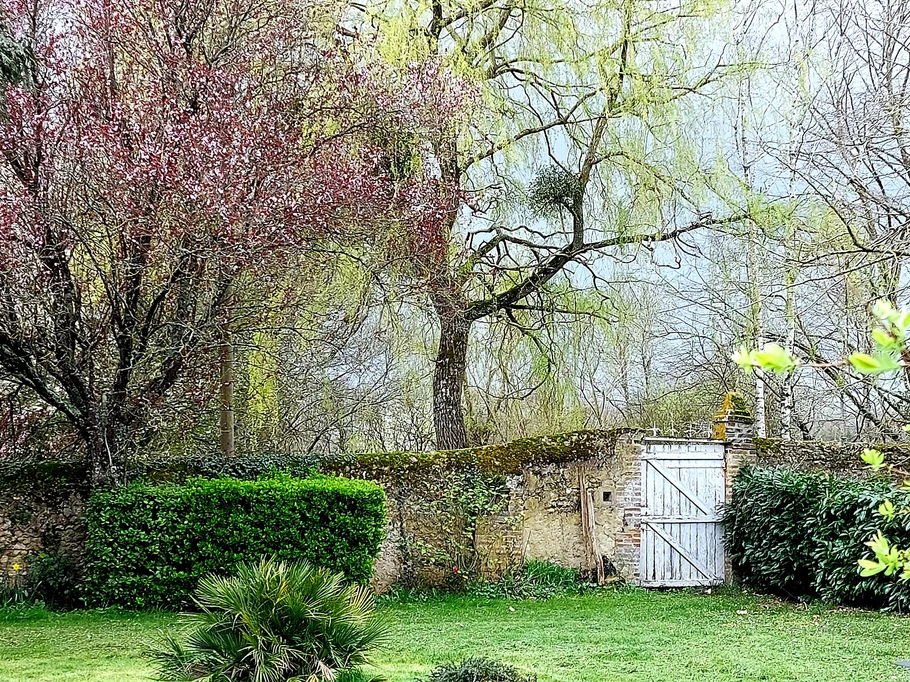 Parc au printemps
