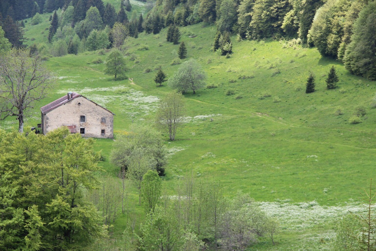 Photo n° 15 of the location