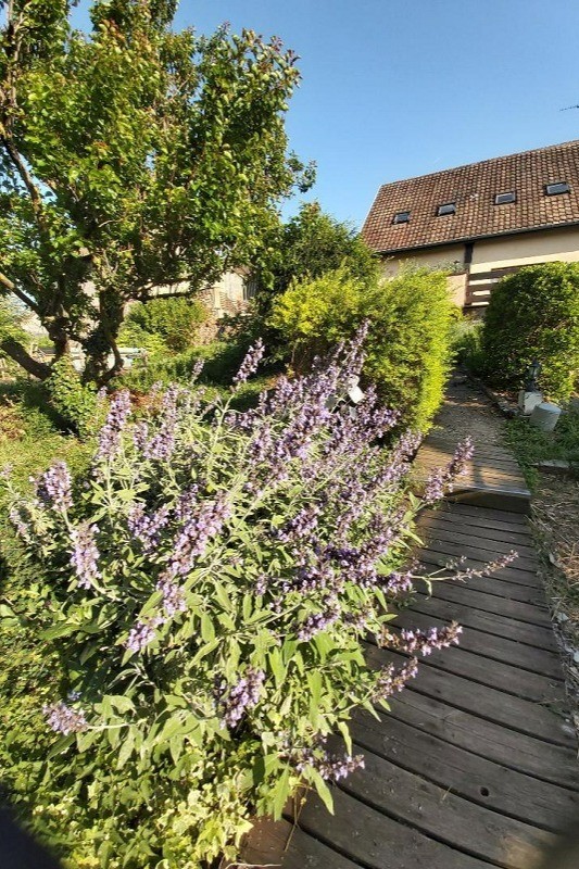 vue jardin