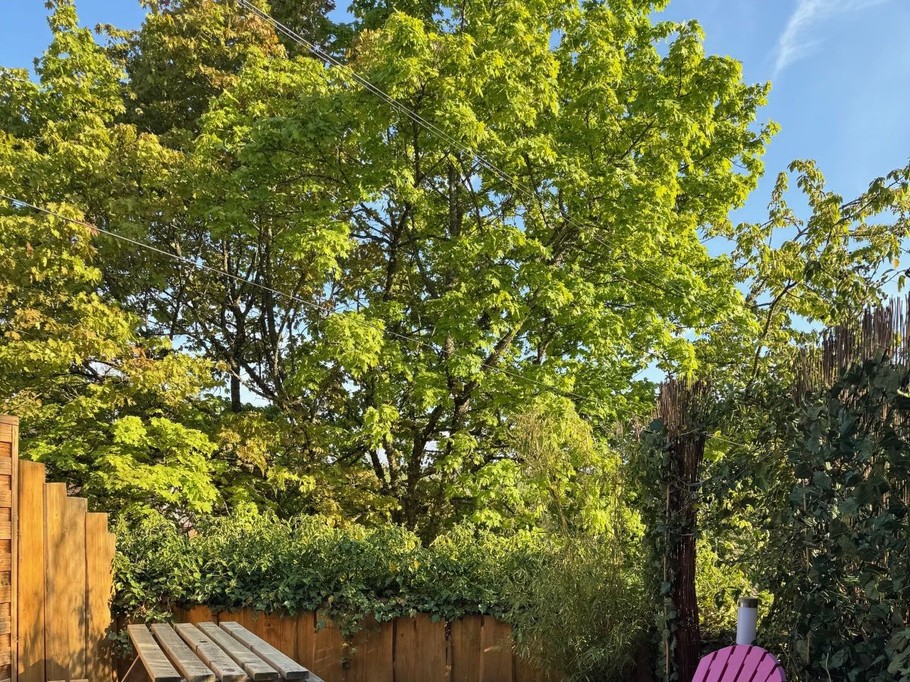 Photo n° 13 de la location