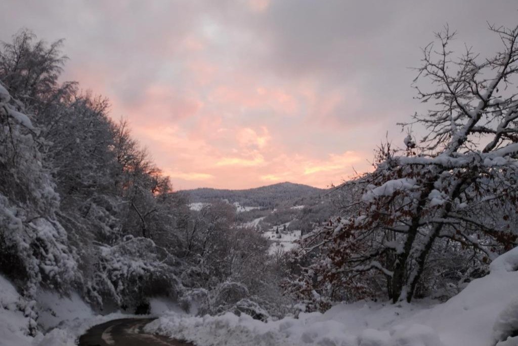 Photo n° 11 of the location