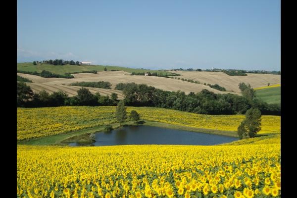 Photo n° 15 de la location