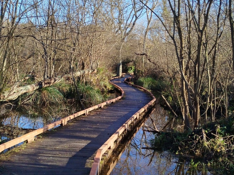 Marais de Trèstel