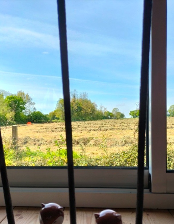 Hermine suite indépendante avec kitchenette 2/4 personnes - Tonquèdec - Côtes d'Armor - Bretagne - Clévacances
