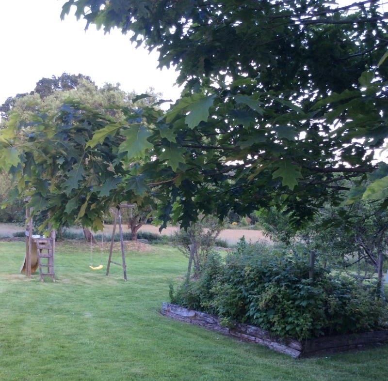 espace vert à disposition de nos locataires avec balançoire