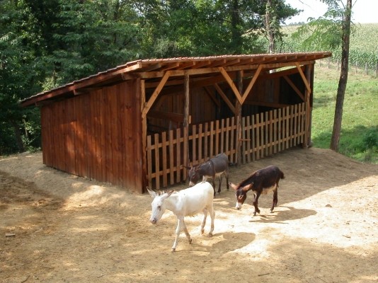 Photo n° 11 of the location