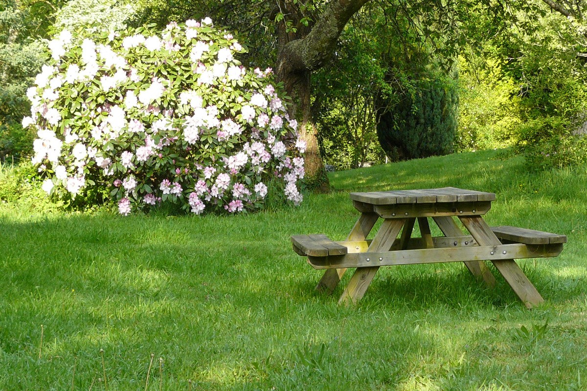 Photo n° 17 of the location