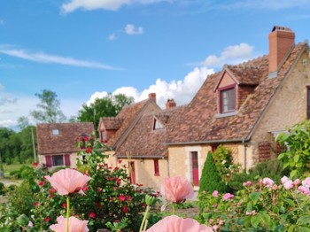 Photo n° 2 de la location