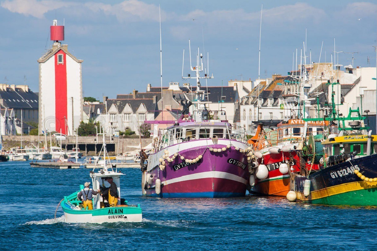 Port de pêche du Guilvinec avec le retour quotidien des bâteaux de pêche
