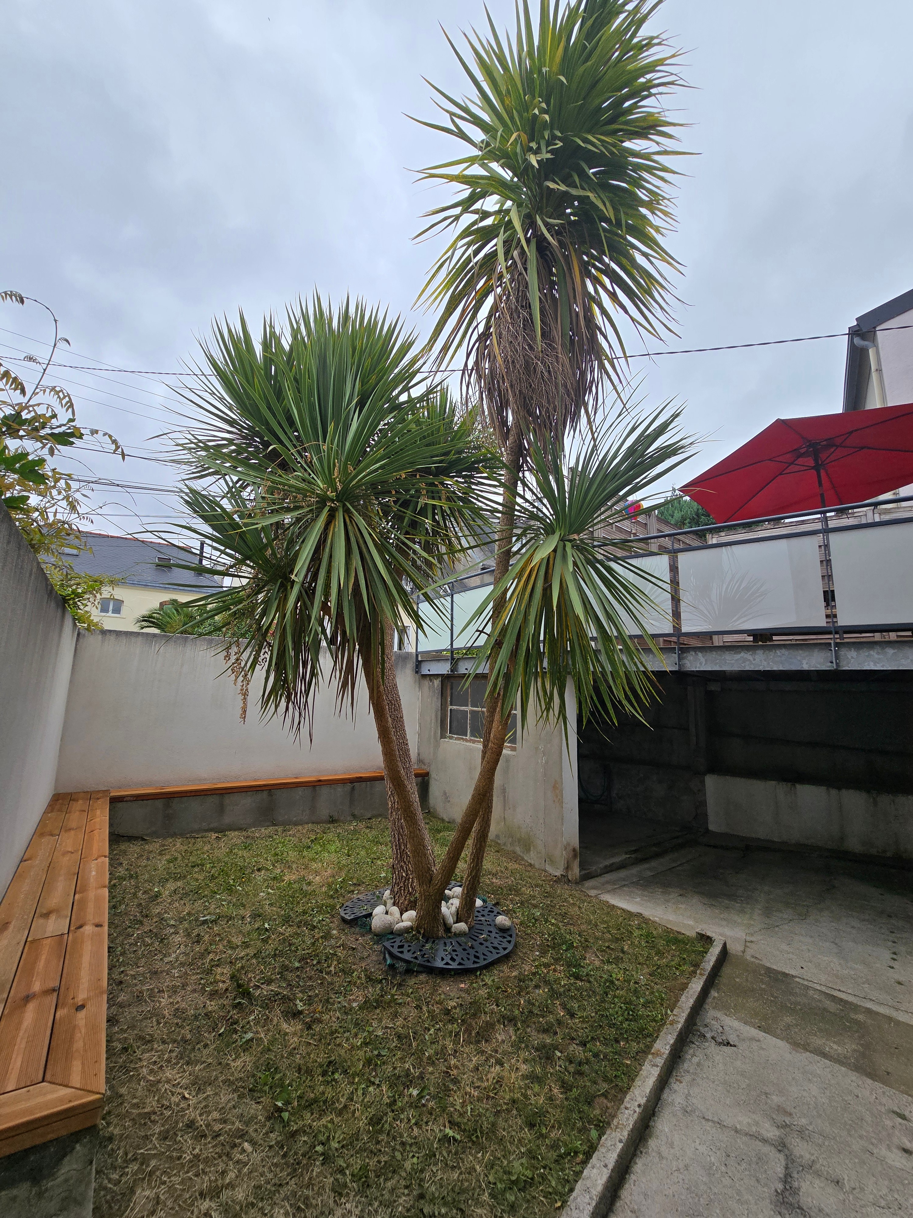 Photo n° 19 of the location