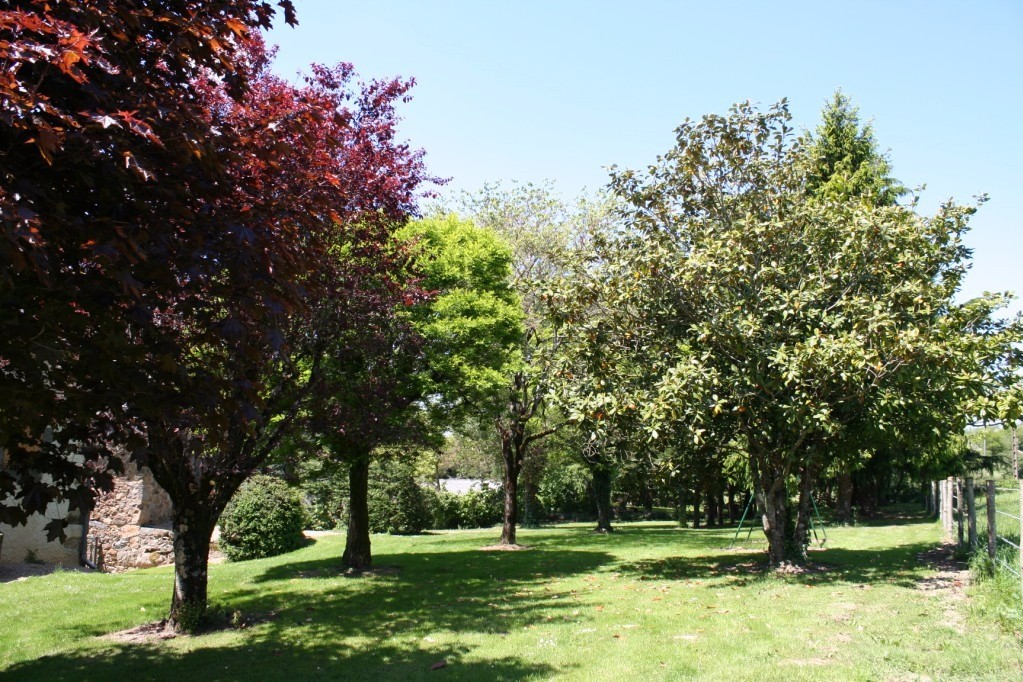 Parcelle arborée