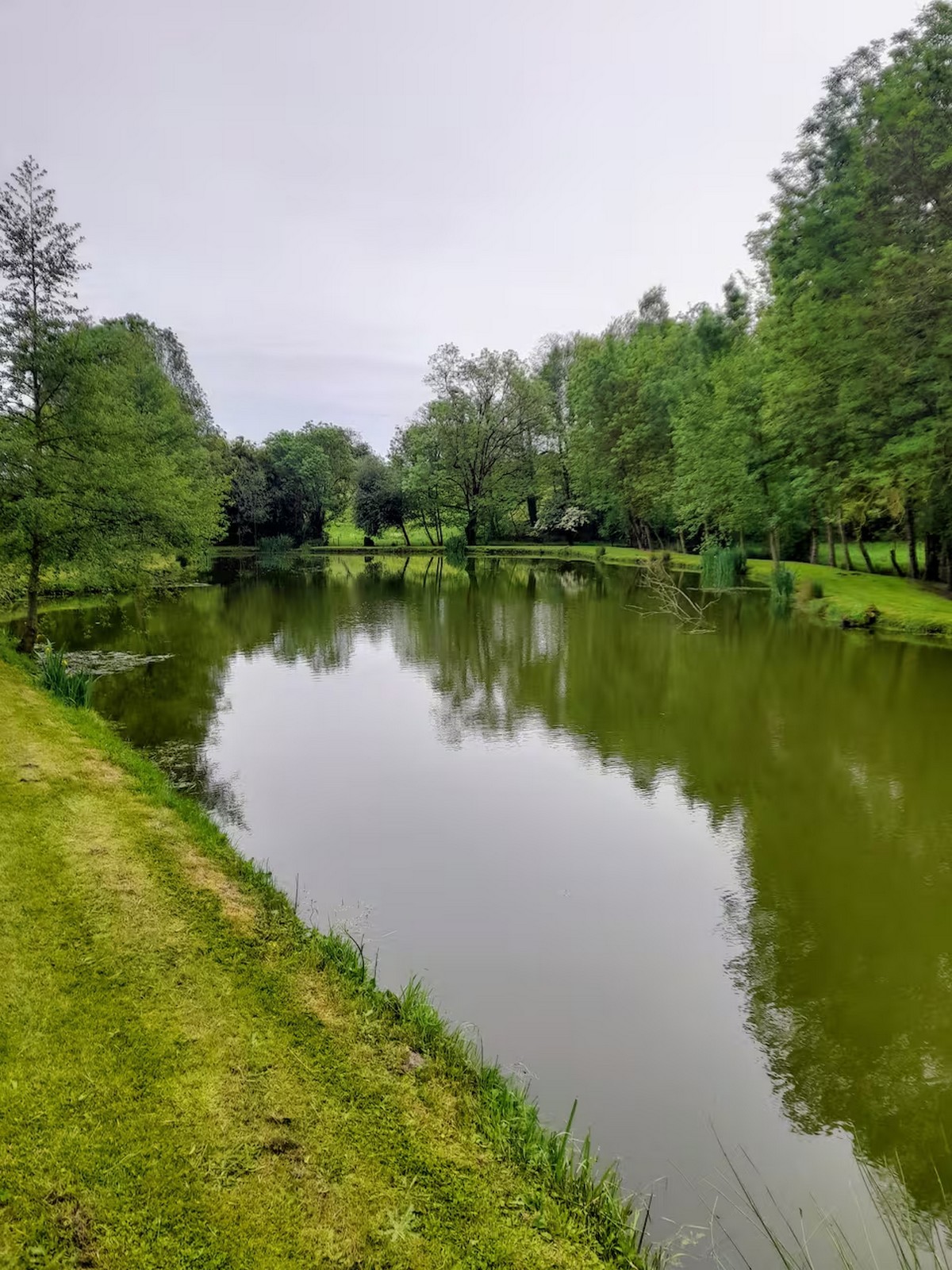 L'étang