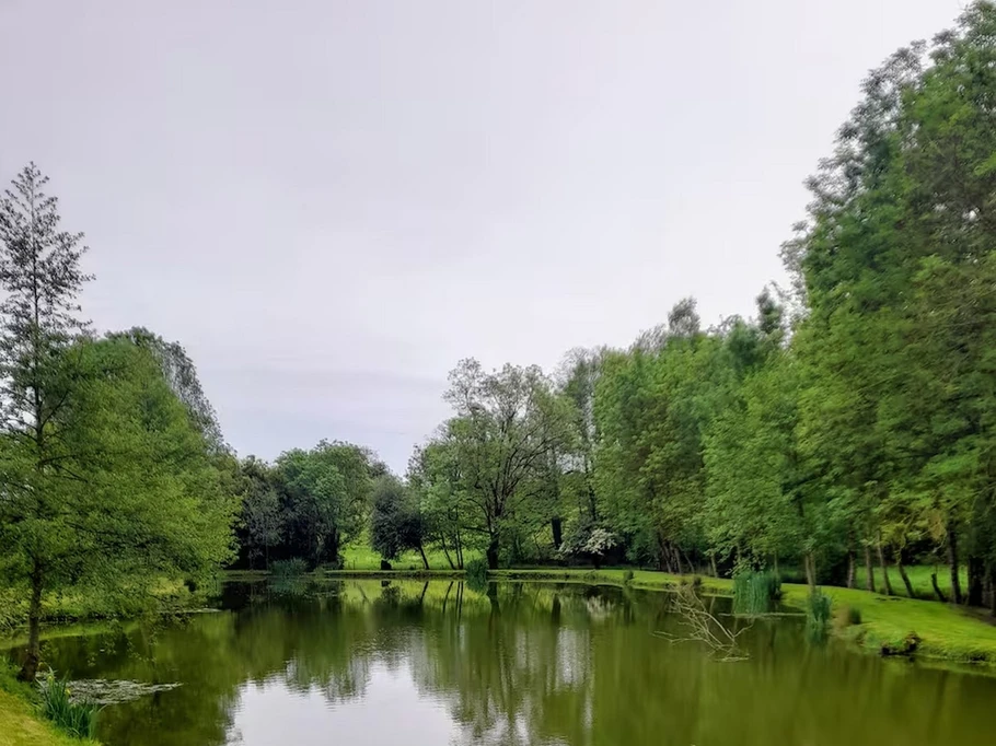 L'étang