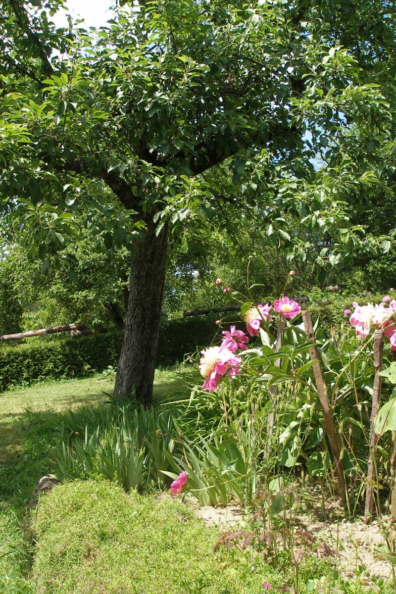Le jardin